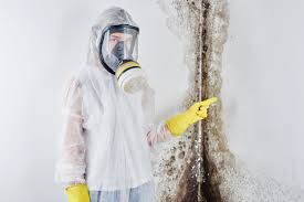 Best Asbestos and Lead Testing During Mold Inspection  in Circleville, OH